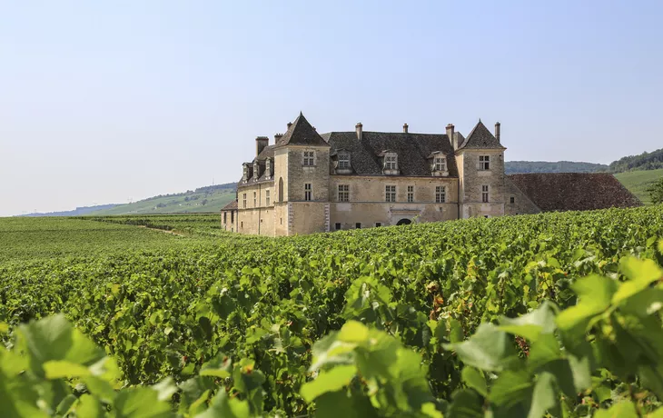 Schloss «Clos de Vougeot» - © blickwinkel2511 - stock.adobe.com