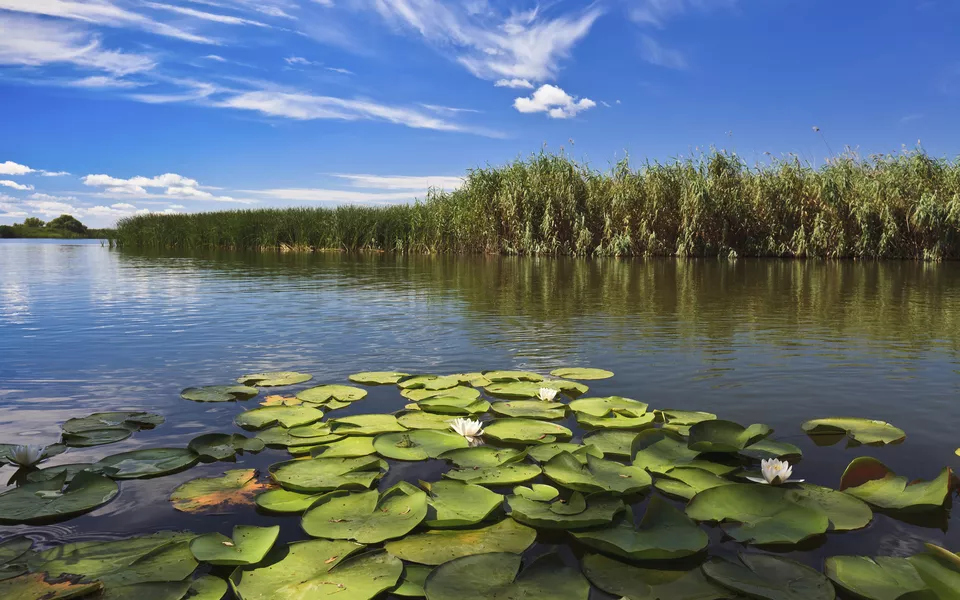 Wasserlandschaft im Donaudelta - © shutterstock_93505555