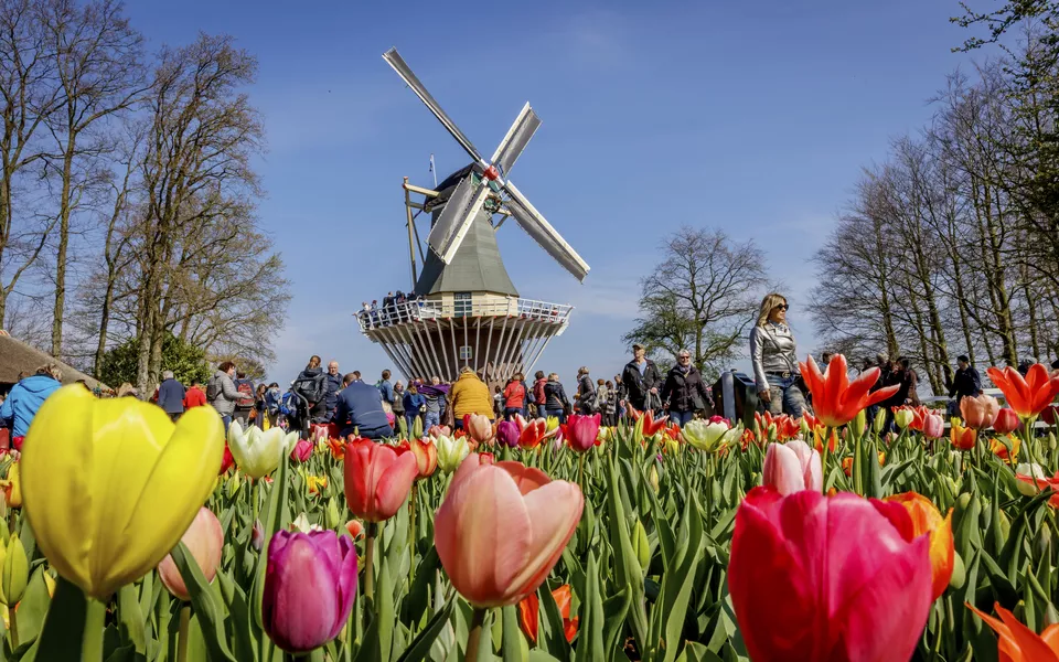 Keukenhof - © 