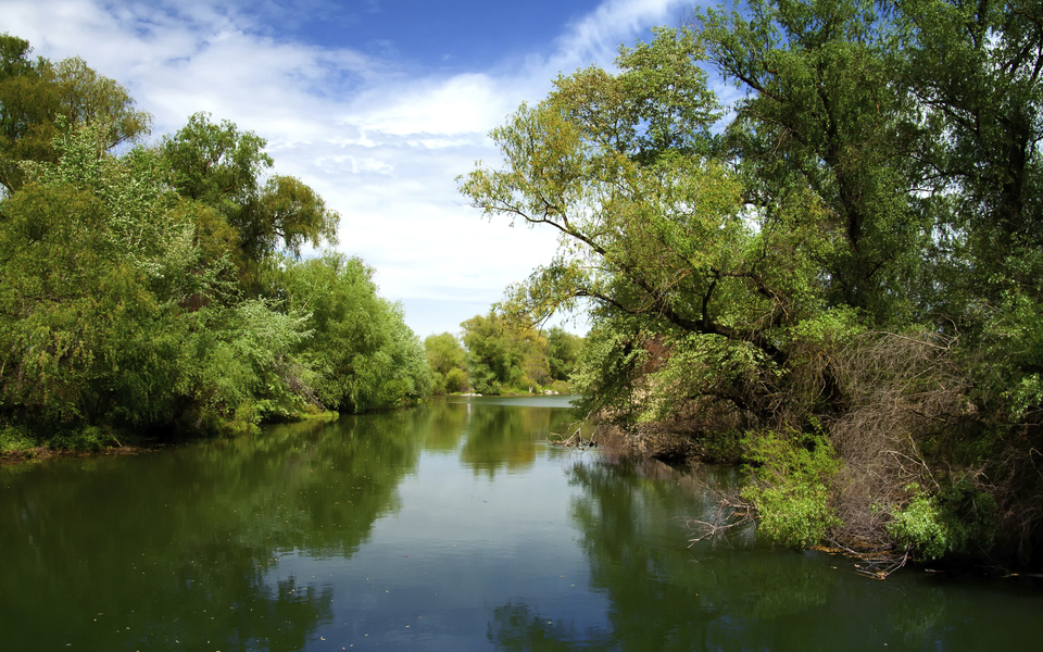 Wasserlandschaft im Donaudelta - © shutterstock_94237378