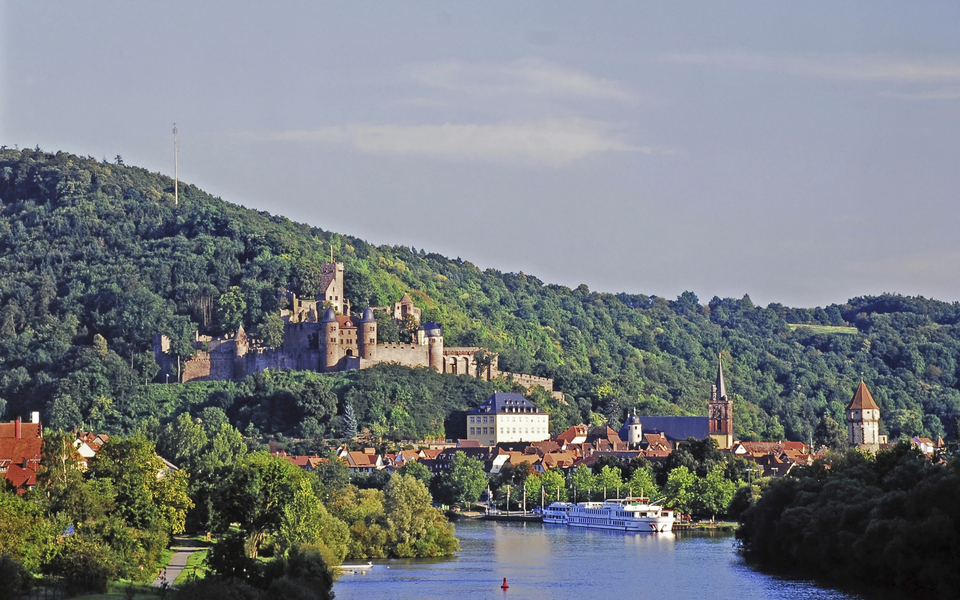 Burg Wertheim