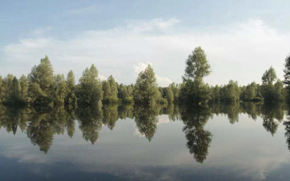 Landschaft Naturpark Kopacki rit