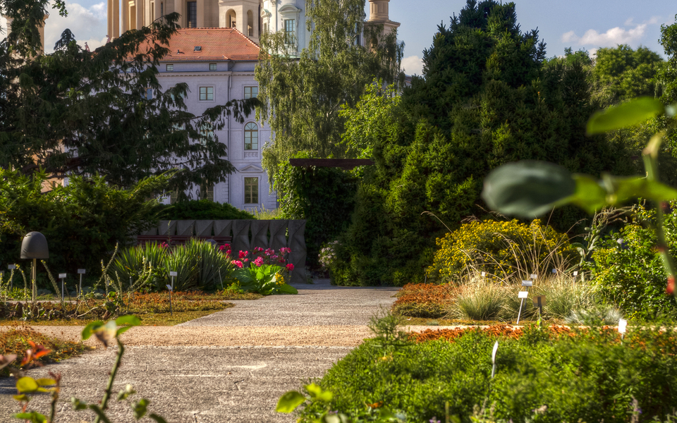 Altes Rathaus in Potsdam  - ©3plusx - stock.adobe.com