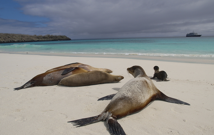Aqua Mare: Ost&West Galapagos