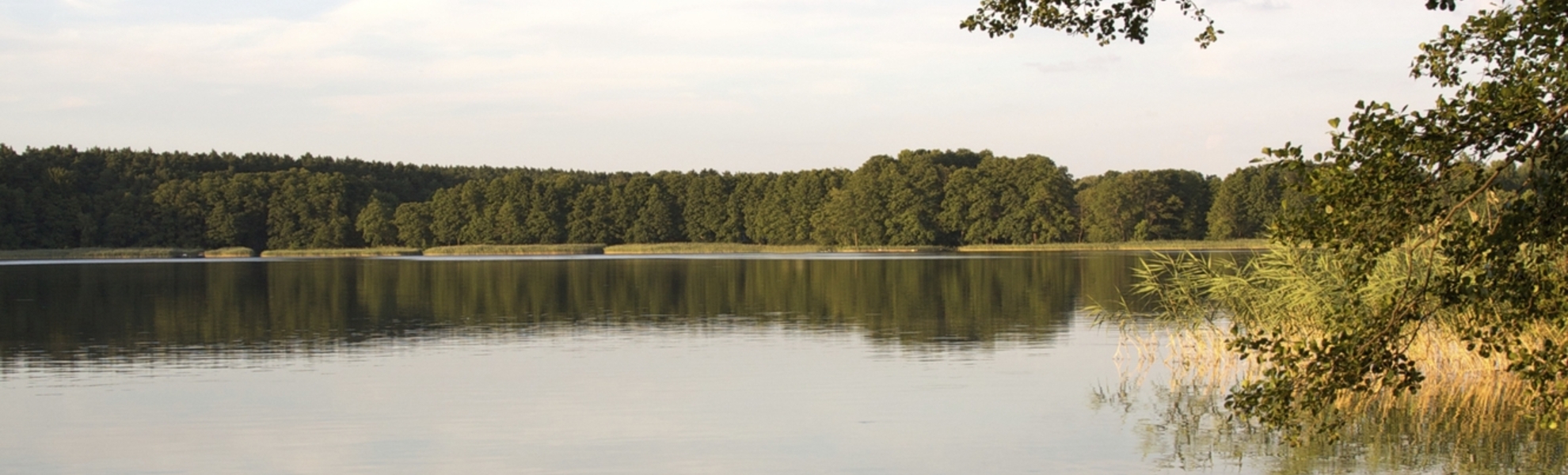 Seenlandschaft im Havelland - © Natalie Prinz - Fotolia