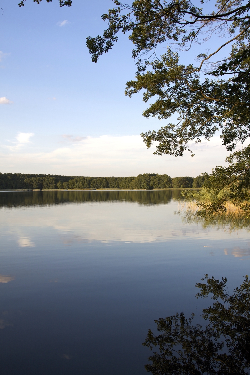 Seenlandschaft im Havelland - © Natalie Prinz - Fotolia