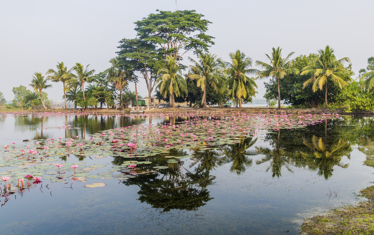 Sundarbans - © Getty Images/iStockphoto