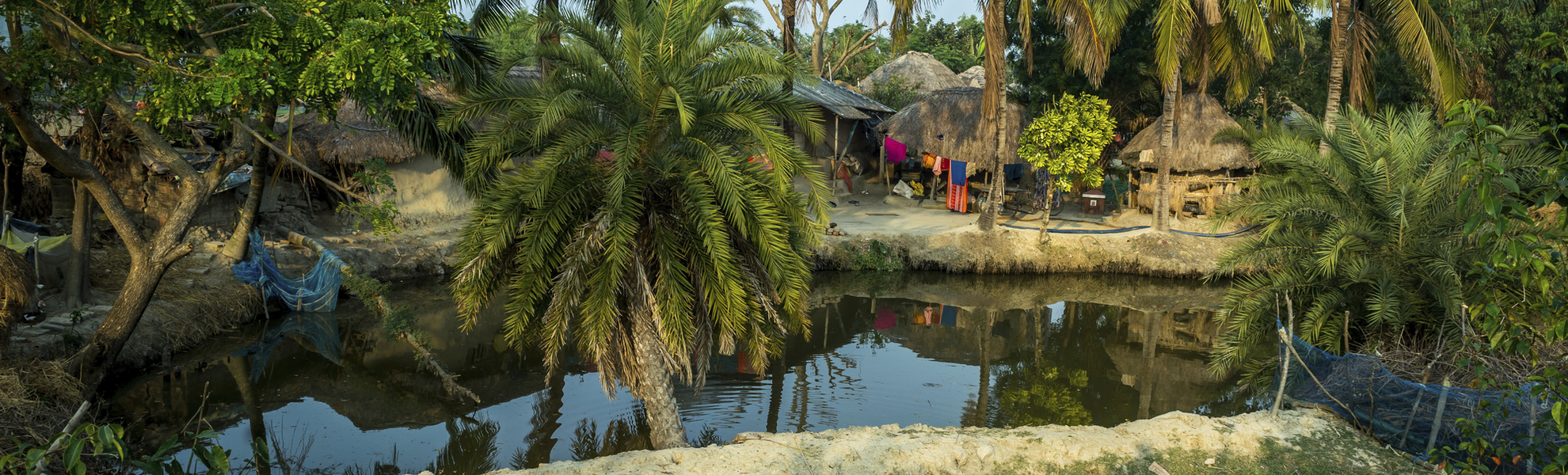 Sundarban - © ©niladri - stock.adobe.com