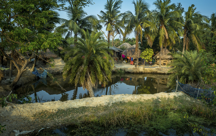 Sundarban - © ©niladri - stock.adobe.com