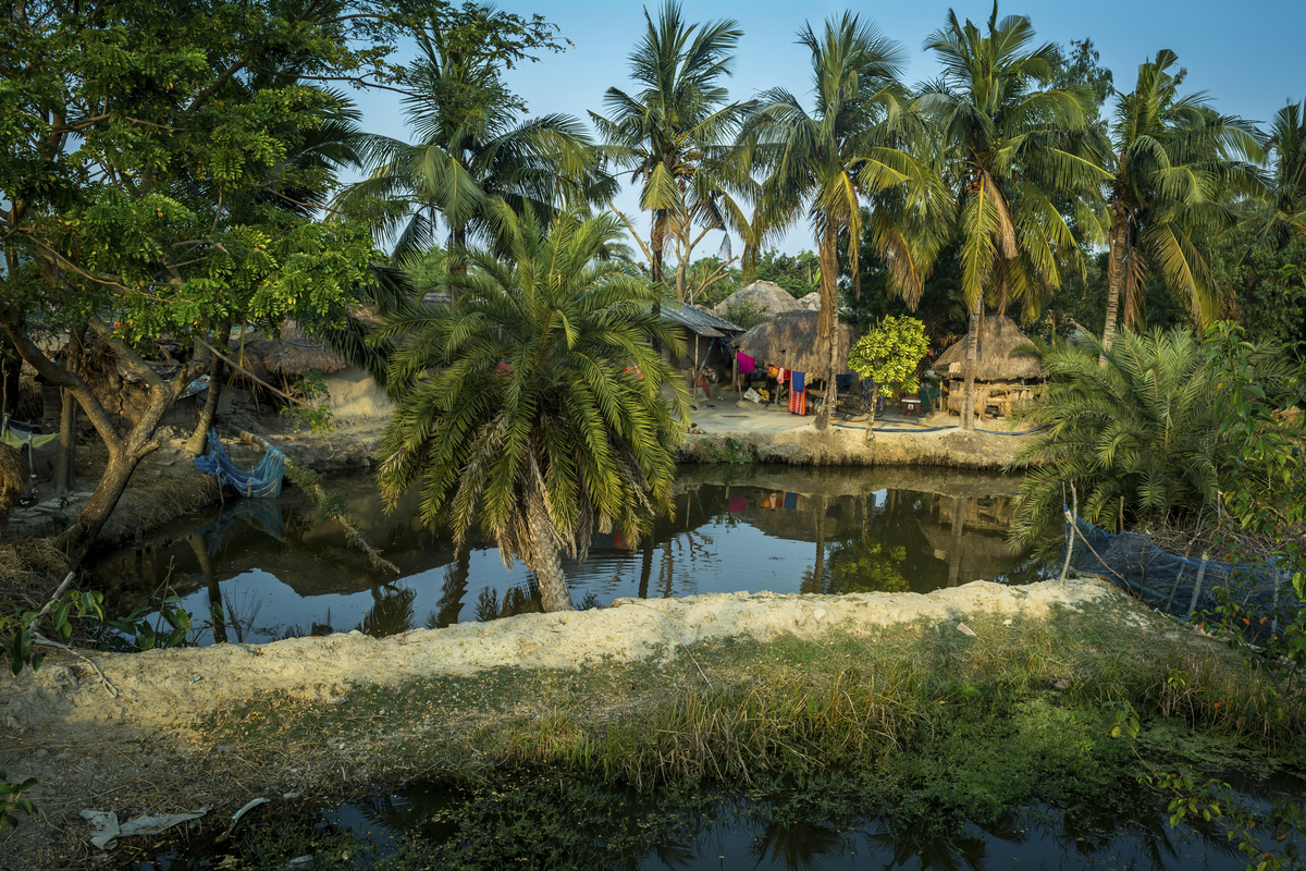 Sundarban - © ©niladri - stock.adobe.com