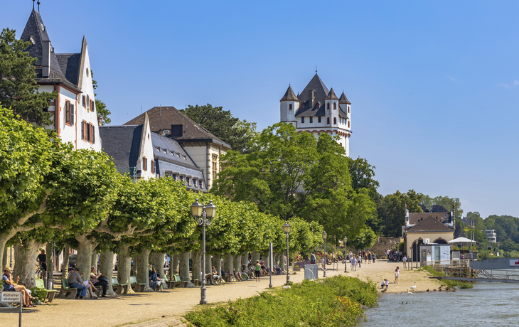 Flussfestival auf dem Rhein mit Edelweiss