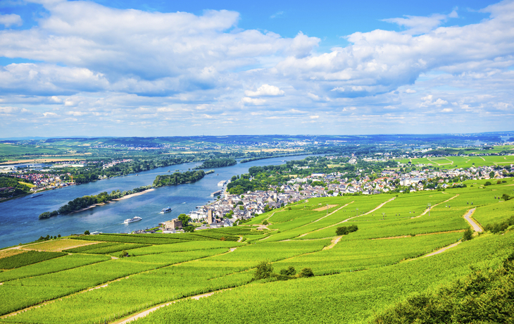 Naturspektakel entlang des Rheins MS Edelweiss