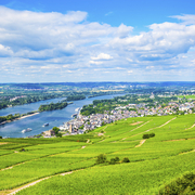 Rüdesheim