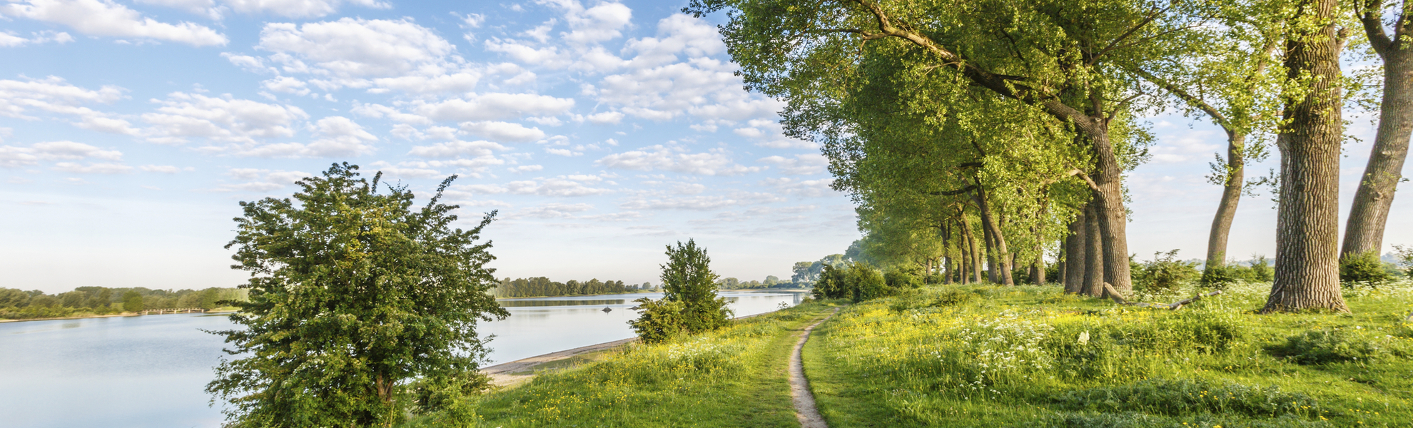 Naturschutzgebiet bei Nijmegen, Ooijpolder - © Copyright (c) 2017 Photodigitaal.nl/Shutterstock.  No use without permission.