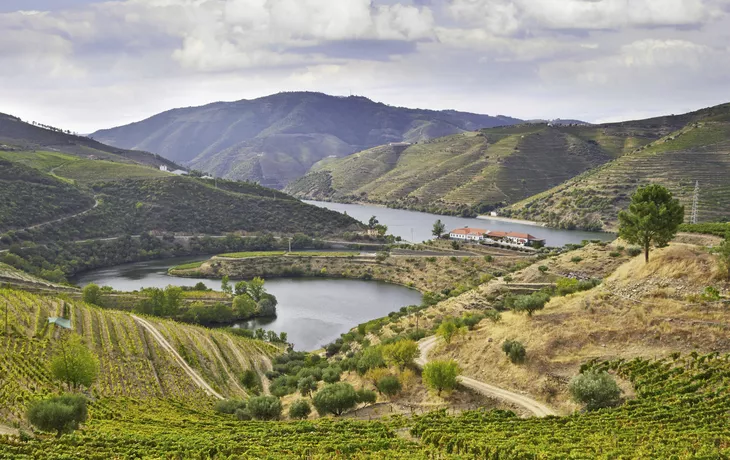 Ab Portos Küste ins schöne Dourotal MS Douro Spirit