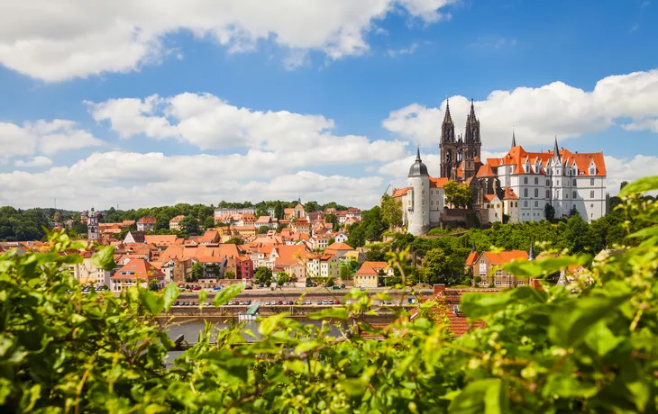 Dom und Albrechtsburg in Meißen an der Elbe im Sommer, Deutschland - ©Daniel Bahrmann - stock.adobe.com