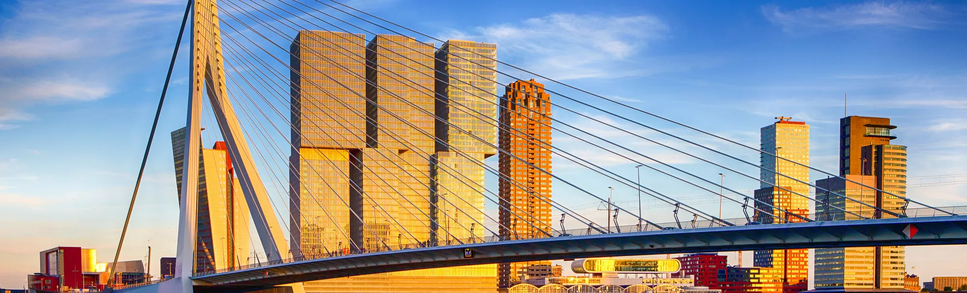 Erasmusbrücke in Rotterdam in den Niederlanden - © danmorgan12 - stock.adobe.com