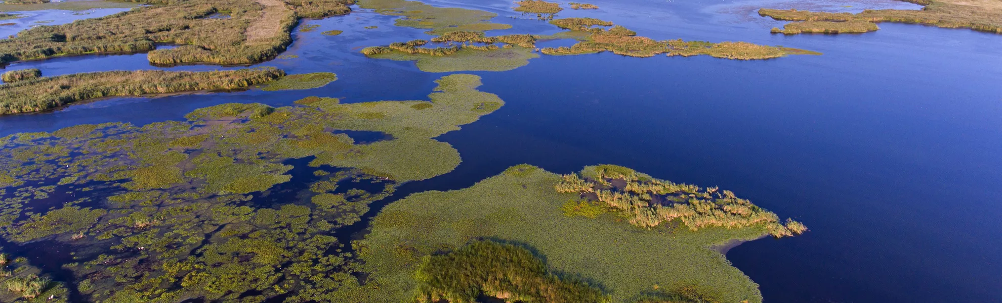 Luftbild des Biosphärenreservats Donaudelta in Rumänien - ©Calin Stan - stock.adobe.com