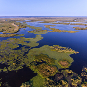 Luftbild des Biosphärenreservats Donaudelta in Rumänien