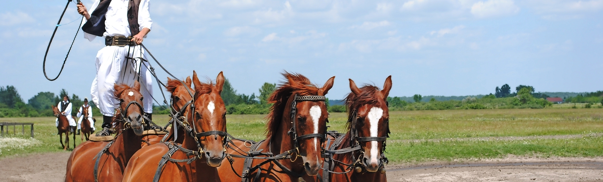 Traditionelle Reitvorführung, Puszta - © DH - Fotolia