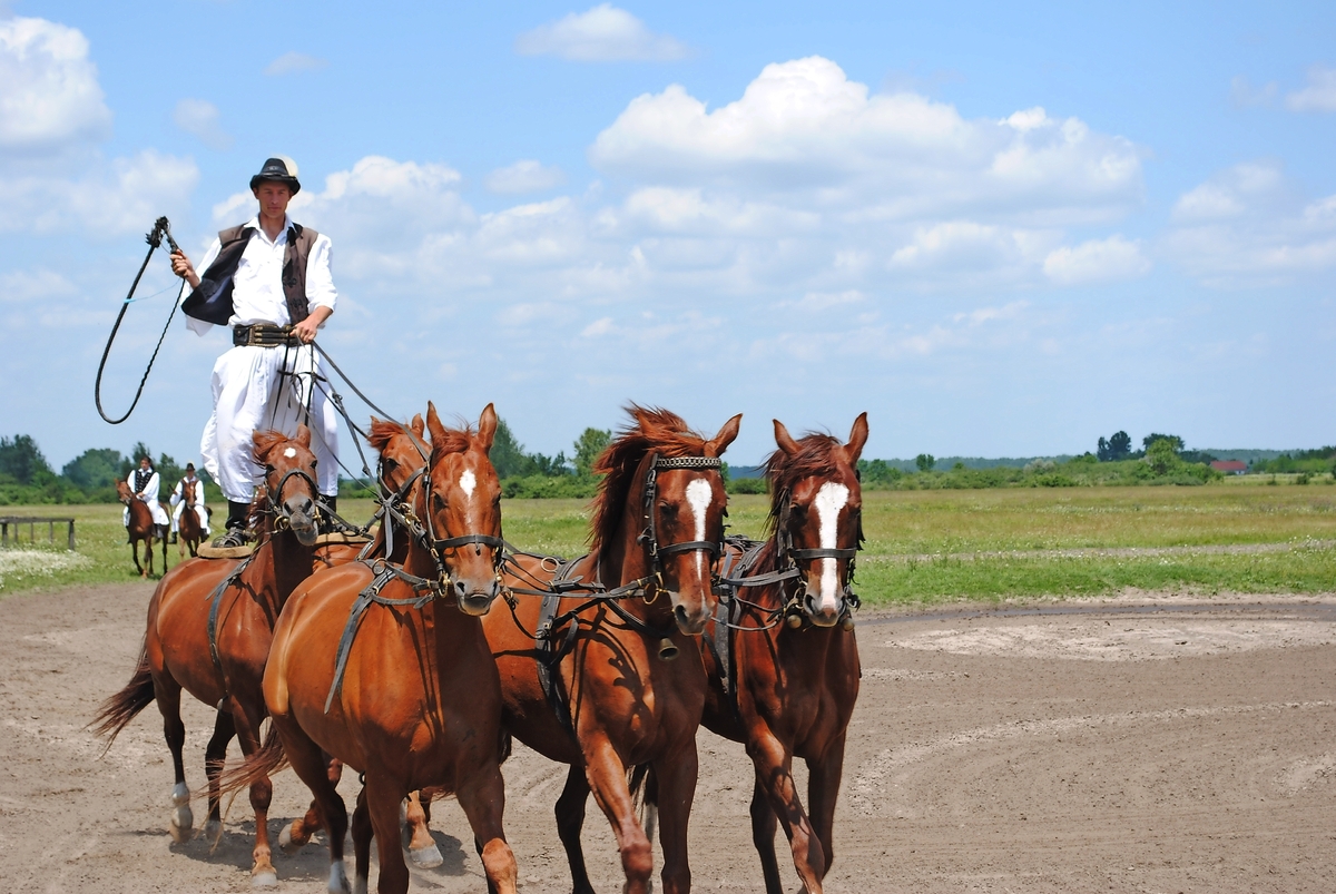 Traditionelle Reitvorführung, Puszta - © DH - Fotolia