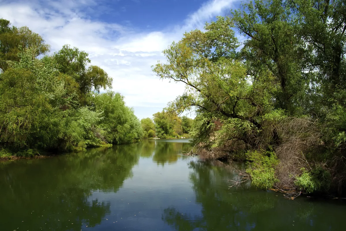 Wasserlandschaft im Donaudelta - © shutterstock_94237378