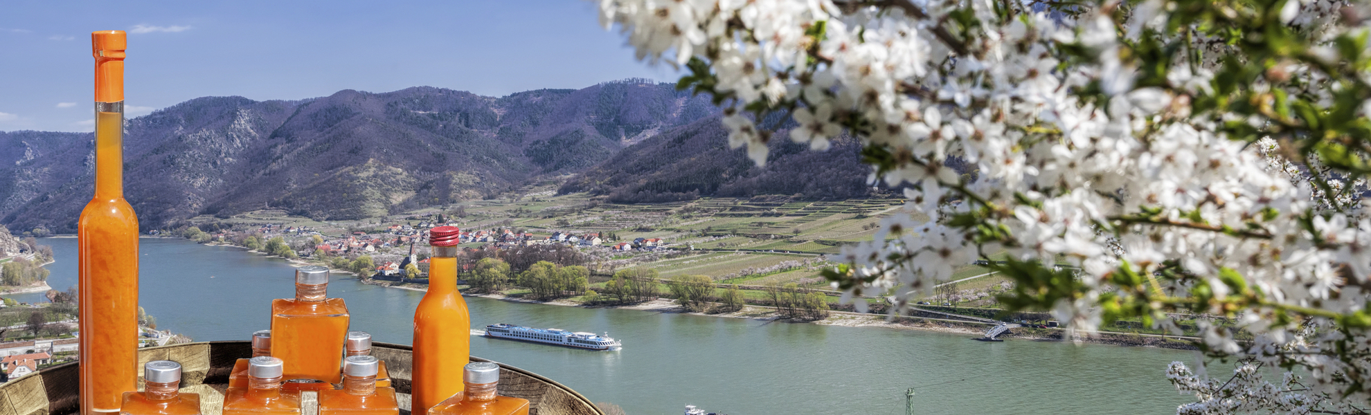 Marillenlikör, Wachau - © Tomas Marek - stock.adobe.com