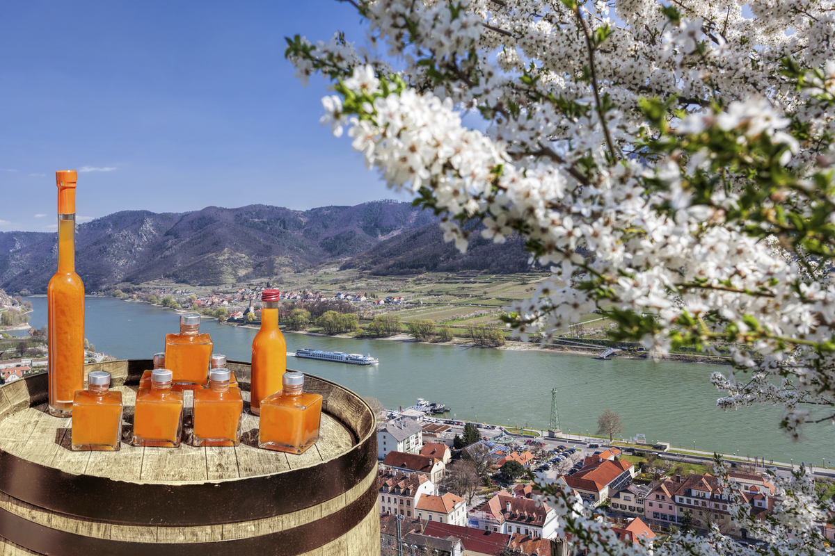 Marillenlikör, Wachau - © Tomas Marek - stock.adobe.com