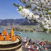 Marillenlikör, Wachau