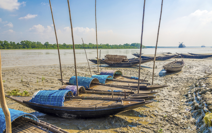 Sundarbans - © milosk50 - stock.adobe.com