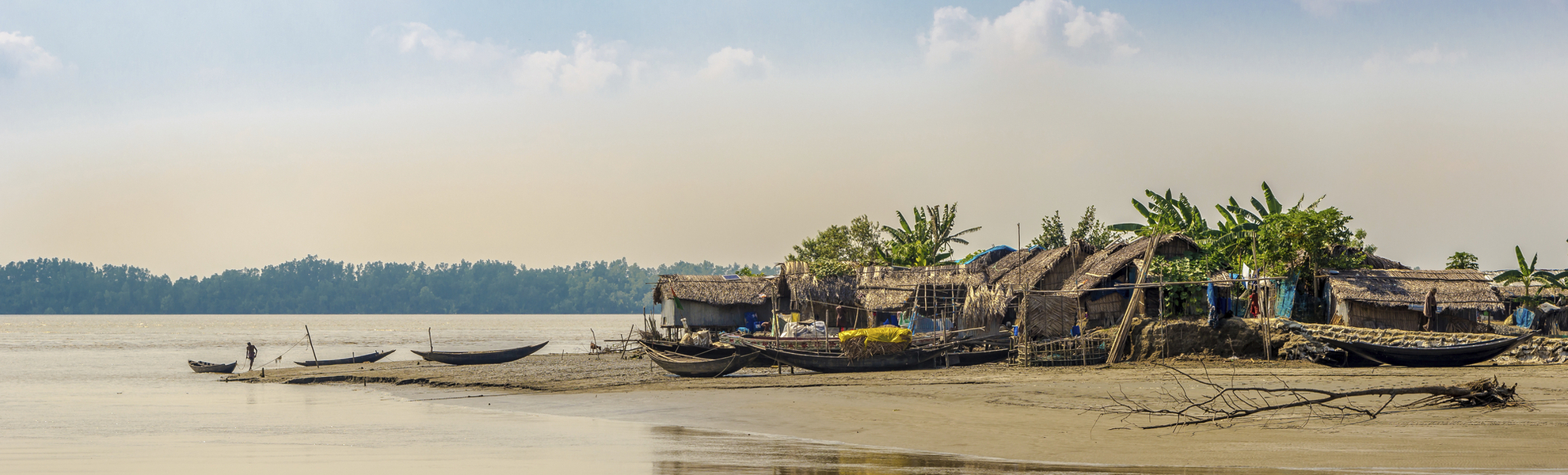 Sundarbans - © ©milosk50 - stock.adobe.com