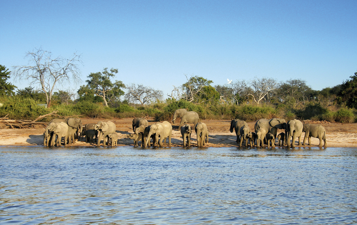 African Explorer: von Pretoria zu den Victoria Falls