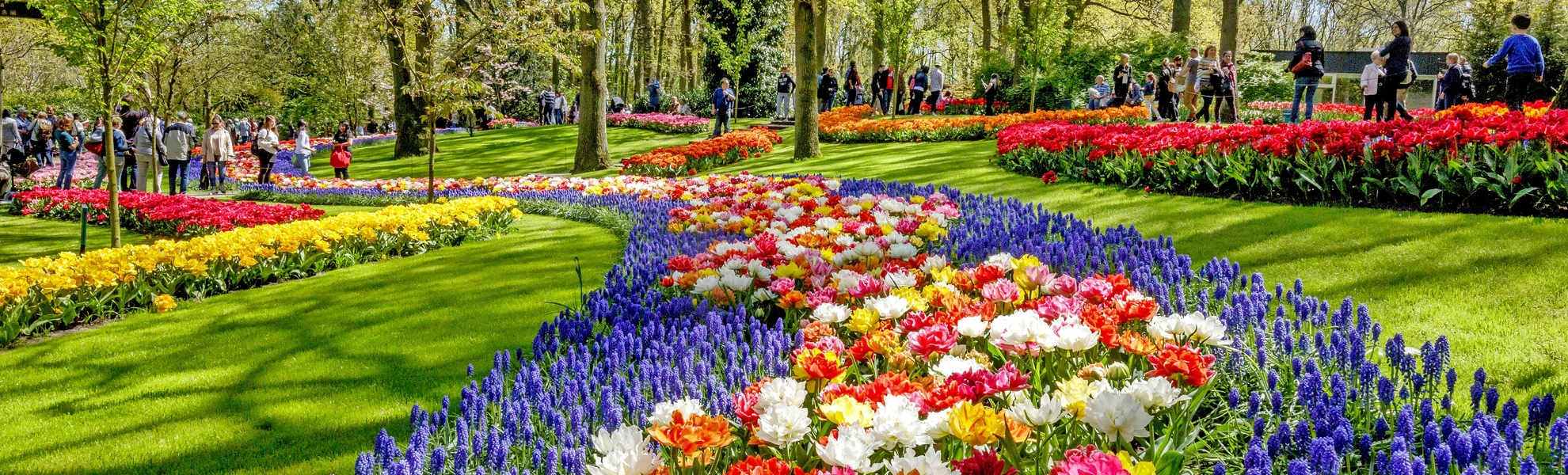 Keukenhof in den Niederlanden