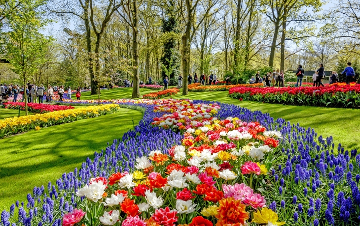 Keukenhof in den Niederlanden