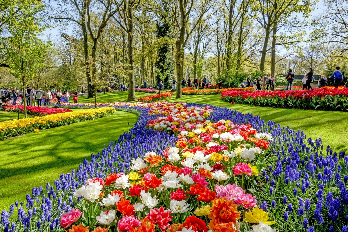 Keukenhof in den Niederlanden