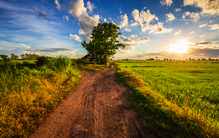 Strasse durch Reisfeld - © patpitchaya - stock.adobe.com