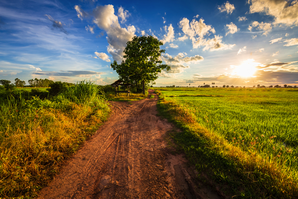 Strasse durch Reisfeld - © patpitchaya - stock.adobe.com