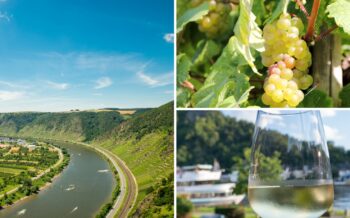 Genussreisen Mosel Wein